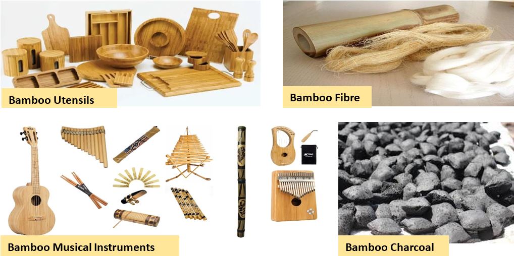 Bamboo Products