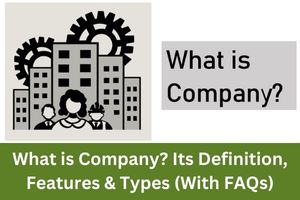 What is Company