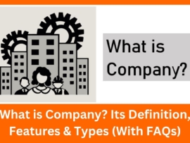 What is company