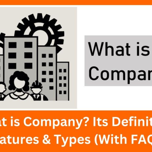 Read more about the article What is Company? Its Definition, Features & Types (With FAQs)