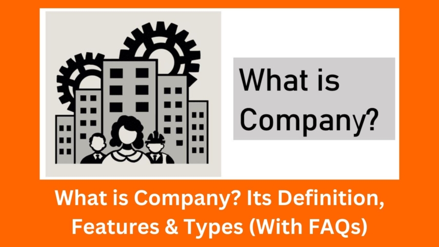What is company