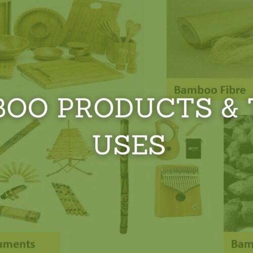Read more about the article What Products are made from bamboo? Bamboo Products & Their Uses (With FAQs)